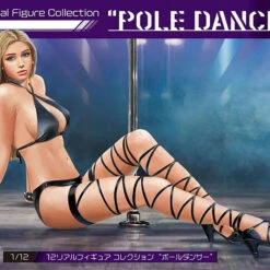 Hasegawa 1/12 Real Figure Collection No.14 Pole Dancer Plastic Model -Innovative Hobby Supply shop 4967834523128 25b5e2bf4cae269e67f5fac6f5296c5f 40138.1654829331