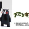 Fujimi 170916 No.14 EX-1 MAP OF JAPAN (PREPAINTED) KUMAMON VER Non-scale Model Kit -Innovative Hobby Supply shop 4968728170916 402f748764bc3e1276d0db08b76a3199 60956.1580450935